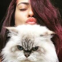 बिल्ली है इन हसीनाओं की फेवरेट दोस्त, ये तस्वीरें हैं गवाह