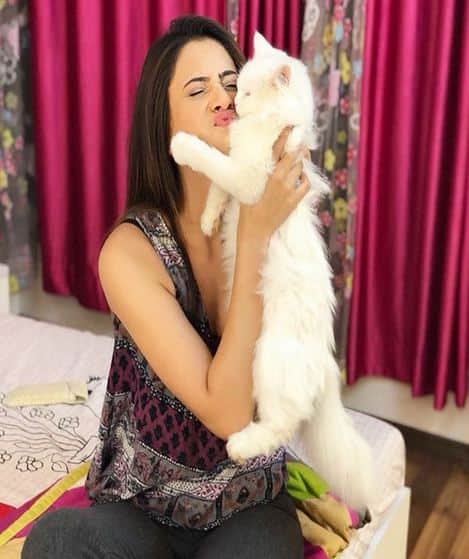 बिल्ली है इन हसीनाओं की फेवरेट दोस्त, ये तस्वीरें हैं गवाह बिल्ली है इन हसीनाओं की फेवरेट दोस्त, ये तस्वीरें हैं गवाह