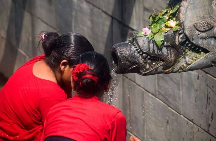 तीज पर्व को शिवजी और माता पार्वती की अराधना में मनाया जाता है. इस अवसर पर कथा सुनने और झूला झूलने का भी रिवाज है. फोटो : गूगल फ्री इमेज