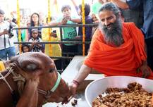 गो-तस्करों के खिलाफ कार्रवाई नहीं होने की वजह से सड़कों पर आते हैं गोरक्षक: रामदेव