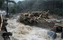 केरल में बाढ़ से त्राहि-त्राहि, मानसून से अब तक 187 की मौत