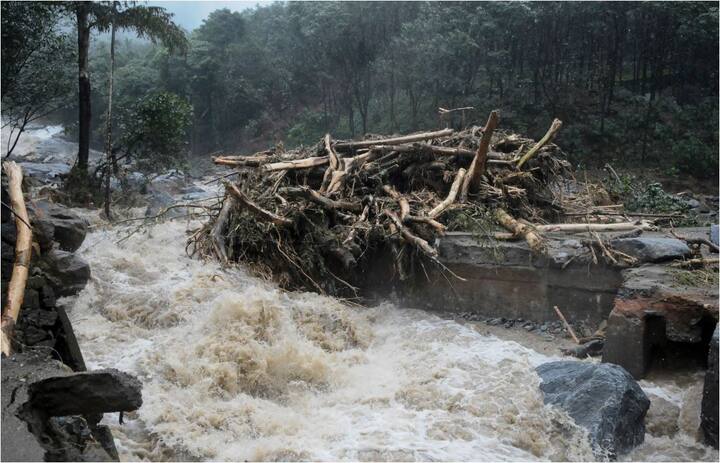तेज बारिश और बाढ़ से केरल में तबाही का भयानक मंजर सामने आया है. आलम ये है कि राज्य में अब तक 187 से ज्यादा लोगों की मौत हो चुकी है. वहीं लाखों की संख्या में लोग बेघर हो गए हैं. फोटो - ट्विटर