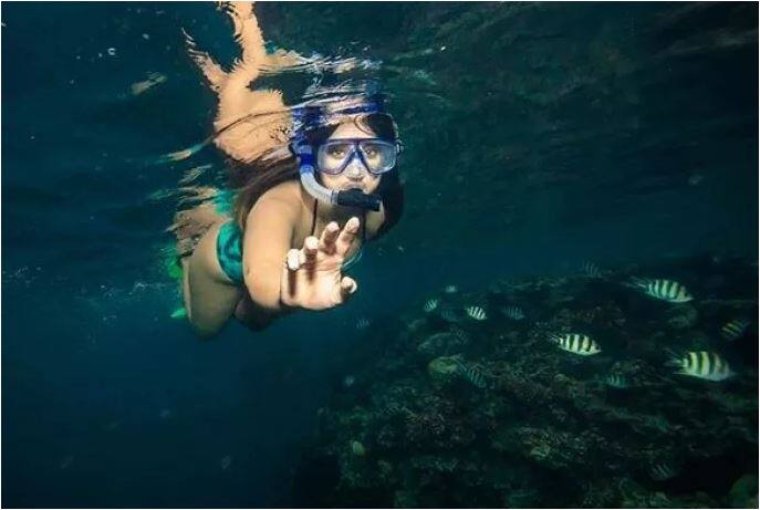 हाल ही में इलियाना ने पानी के अंदर बिकिनी में अपनी कई हॉट तस्वीरें भी पोस्ट की थीं. फोटो - इंस्टाग्राम