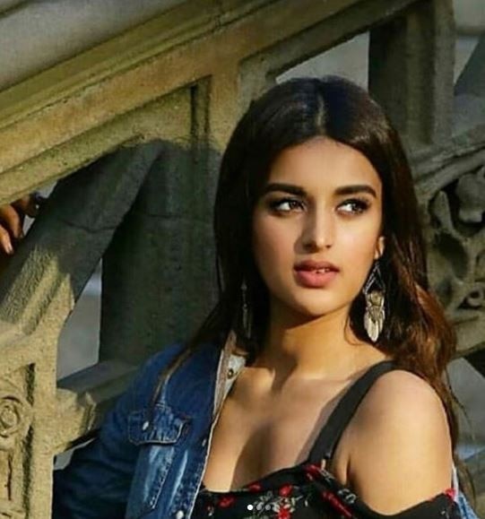 वहीं इस विवाद पर निधि ने बोलते हुए कहा, 