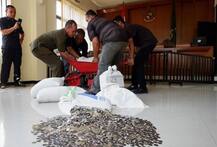 इंडोनेशिया: जब तलाक की रकम देने 890 किलो सिक्के लेकर कोर्ट पहुंचा पति