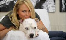 InPics: सिंगल ही खुश हैं हॉलीवुड की ये सिंगर, बताई इसकी वजह