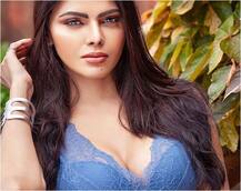 Photos: ब्लू ब्रा में एक्ट्रेस शर्लिन चोपड़ा की तस्वीरें सोशल मीडिया पर हो रही हैं वायरल