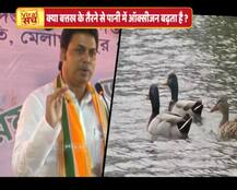 जानें- बत्तख के तैरने से पानी में ऑक्सीजन बढ़ने के दावे का सच