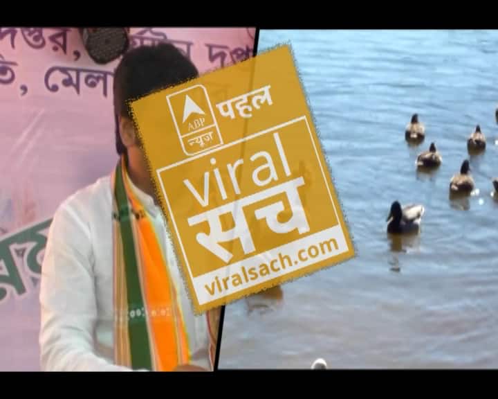 जानें- बत्तख के तैरने से पानी में ऑक्सीजन बढ़ने के दावे का सच