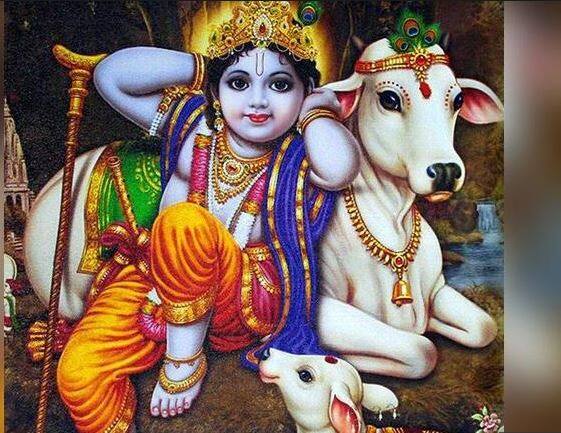 साथ ही इस दिन अमृत काल का सही समय शाम के 04:59 से 06:32 बजे तक होने वाला है. तस्वीर: गूगल फ्री इमेज