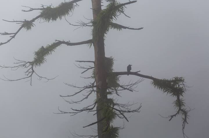 दिल्ली-एनसीआर में सोमवार को काले बादलों का डेरा रहा और कई इलाके तेज बारिश के गवाह बने. इसके साथ ही मंगलवार को भी दिल्ली के कई हिस्सों में बारिश ने दस्तक दी. फोटो-एपी