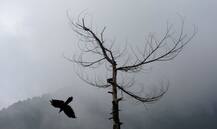 देश भर में हो रही है बारिश, कहीं मस्ती तो कहीं मुसीबत की बनी वजह