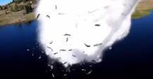 अमेरिका की वो जगह जहां करानी पड़ती है मछलियों की बारिश
