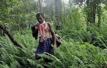 16 साल की उम्र से बंजर जमीन पर लगाने लगा पेड़, अब 31 सालों में बना दिया पूरा जंगल