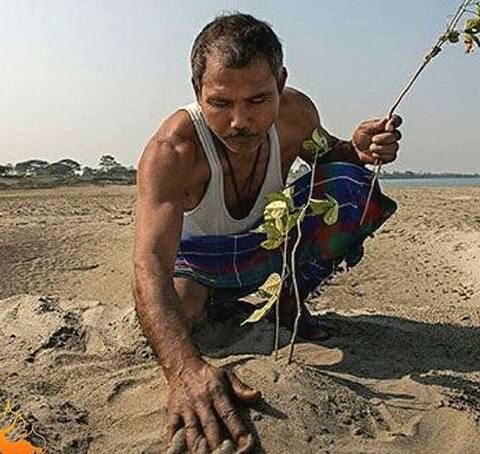 16 साल की उम्र से बंजर जमीन पर लगाने लगा पेड़, अब 31 सालों में बना दिया पूरा जंगल 16 साल की उम्र से बंजर जमीन पर लगाने लगा पेड़, अब 31 सालों में बना दिया पूरा जंगल