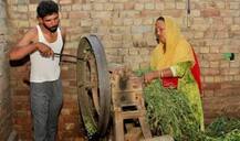 उधार के मांगे पैसे से पंजाब के एक किसान ने जीते डेढ़ करोड़ रुपये