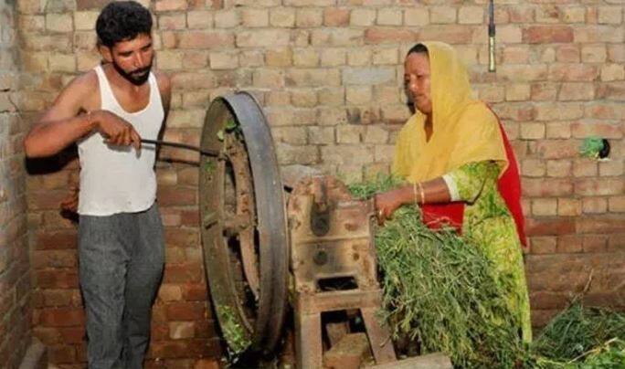 पंजाब के संगरूर गांव के रहने वाले मनोज कुमार ने सरकार द्वारा निकाली गई लॉटरी में करीब 1.5 करोड़ रुपये जीत लिए हैं. कल तक मजदूरी करने वाले मनोज और उनकी पत्नी 250 रुपये डेली बेसिस पर कमाते थे. तस्वीर: एपी