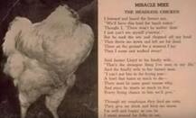 पढ़कर हैरान रह जाएंगे जब जानेंगे कैसे डेढ़ साल की बिना मुंडी के जिंदा रही ये मुर्गी