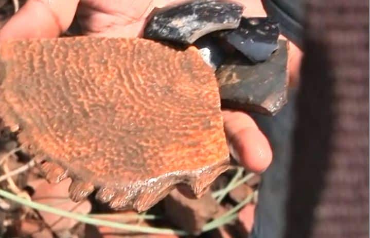 बिहार: छपरा में बाढ़ के पानी में बहता जा रहा है हजारों सालों का इतिहास Bihar: Flood affecting Chhapra's Chirand which has rich history बिहार: छपरा में बाढ़ के पानी में बहता जा रहा है हजारों सालों का इतिहास