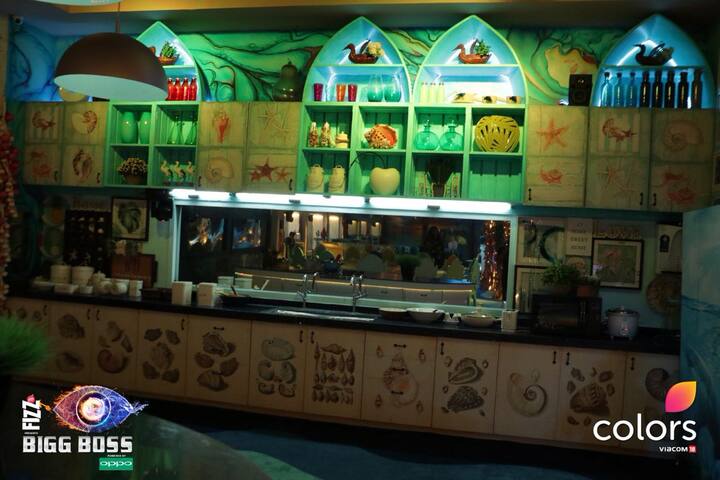 इस बार का सीजन पहले के सीजन से कहीं ज्यादा दिलचस्प होने वाला है. दरअसल, बिग बॉस के प्रीमियर एपिसोड की शुरुआत से पहले चार कंटेस्टेंट्स को आउट हाउस में रखा गया था. 