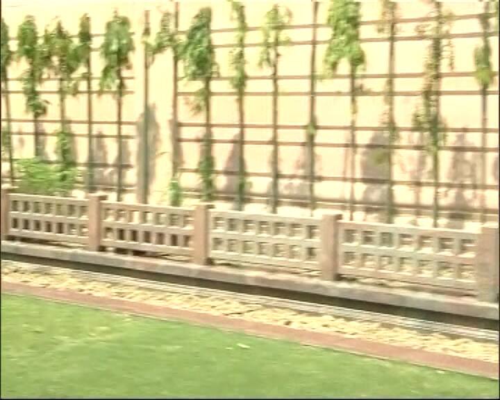 मायावती ने कहा,