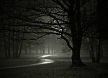 महिला के लिए सुरक्षित नहीं है दिल्ली, अब भी शहर में हैं 1956 डार्क स्पॉट