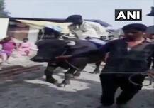 बच्चे के साथ कुकर्म के आरोपी का मुंह काला कर भैंसे पर गांव भर में घुमाया