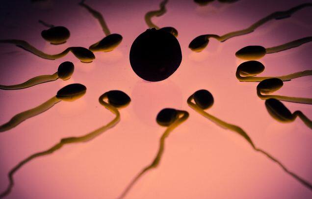 नर्व्स सिस्टम से संबंधित कुछ विकार भी शुक्राणुओं की गतिशीलता को बाधित कर सकते हैं. दुर्घटनाओं या सर्जरी के कारण रीढ़ की हड्डी को चोट पहुंचने जैसी नर्व्स की क्षति जैसी स्थितियां भी शुक्राणुओं को परिवहन करने की नलिकाओं की क्षमता पर प्रतिकूल प्रभाव डाल सकती हैं. ऐसा पाया गया है कि एंटी डिप्रेशन की दवाइयां भी नर्व्स सिस्टम को प्रभावित करती हैं. फोटोः गूगल फ्री इमेज