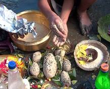 श्राद्धपक्ष: पितरों की नाराजगी दूर करने के लिए अपनाएं ये उपाय