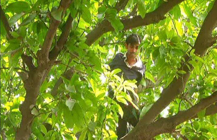 योगी सरकार के खिलाफ हजारों शिक्षक अभ्यर्थियों ने शुरू किया बेमियादी अनशन, पेड़ से कूदकर जान देने की कोशिश