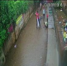 रिटायर्ड दरोगा मॉब लिंचिंग मामले में हाईकोर्ट सख्त, कहा- जांच अधिकारी केस को कमज़ोर करने की कोशिश करते रहे