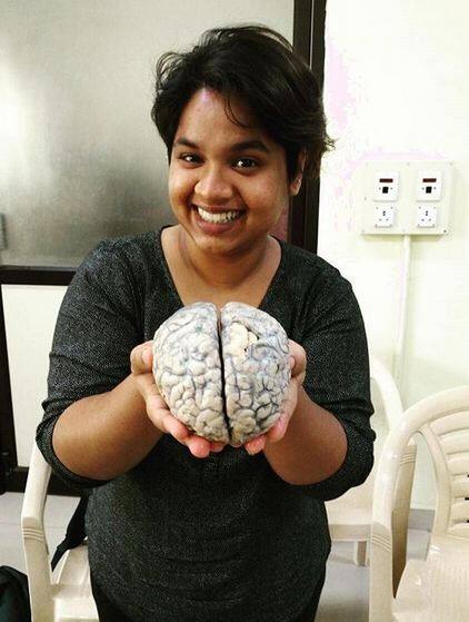 इस म्यूजियम में आप ना सिर्फ अलग-अलग इंसानी दिमाग को देख सकते हैं बल्कि उन्हें छू सकते हैं, फील कर सकते हैं. फोटोः इंस्टाग्राम 