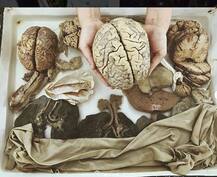 इंसानी दिमाग को अब हाथ में उठा खिंचवा सकते हैं फोटो, ये तस्वीरें कुछ इसी ओर इशारा कर रही हैं