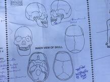 विवेक तिवारी की पोस्टमार्टम रिपोर्ट ने यूपी पुलिस को बनाया झूठा, सेल्फ डिफेंस की बात ग़लत निकली