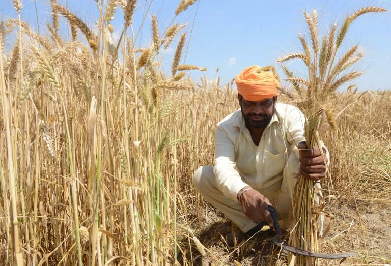 Modi government can announce big steps for farmers after loss in 3 states 3 राज्यों में मिली हार के बाद किसानों के लिए बड़े कदमों का एलान कर सकती है मोदी सरकार- सूत्र