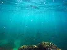 2030 तक धरती का औसत तापमान 1.5 डिग्री सेल्सियस बढ़ जाएगा: रिपोर्ट