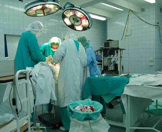 न्यूरोसर्जन विशाल का कहना है कि इंडिया ही नहीं बल्कि एशिया पैसिफिक रीजन में पहली बार स्कल इंप्लांट हुआ है. डॉक्टर्स ने दुनियाभर के बड़े सर्जन से बातचीत और डिस्कस करके इस सर्जरी को अंजाम दिया. फोटोः गूगल फ्री इमेज 