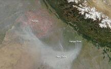 क्या है पराली जिसे हरियाणा-पंजाब में जलाने से दिल्ली में जीना दुश्वार हो जाता है