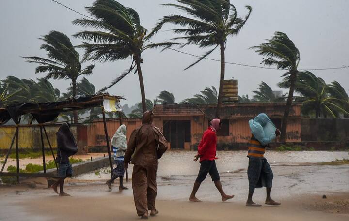 एसडीएमए की प्रारंभिक रिपोर्ट के मुताबिक, नारियल, केले और आम के पेड़ों को सबसे ज्यादा नुकसान पहुंचा है. तस्वीर: पीटीआई