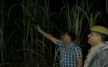 एनकाउंटर करने गई थी यूपी पुलिस, बंदूक ने दिया धोखा तो दारोगा ने मुंह से की \'ठांय-ठांय\'