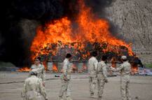 पाकिस्तान एंटी-नारकोटिक्स फोर्स ने लगाई आग