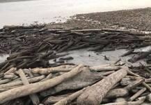 ब्रह्मपुत्र में बनी आर्टिफिशियल झील पर चीन ने कहा, अरूणाचल और असम में अब बाढ़ का खतरा नहीं