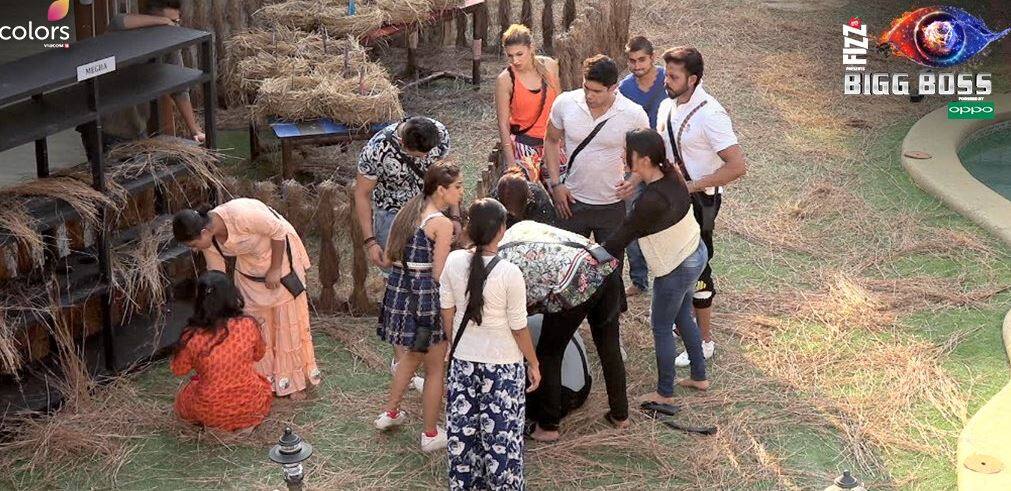 Megha won this week luxury budget task Bigg Boss 12 Bigg Boss 12: लग्जरी बजट टास्क में दूसरे दिन भी होगा हंगामा, इस टीम को मिलेगी जीत