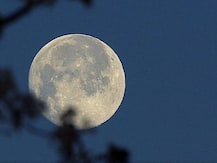 Sharad Purnima 2020 Date : जानें किस तिथि को है सबसे खास मानी जाने वाली शरद पूर्णिमा, क्या है इसका महत्व