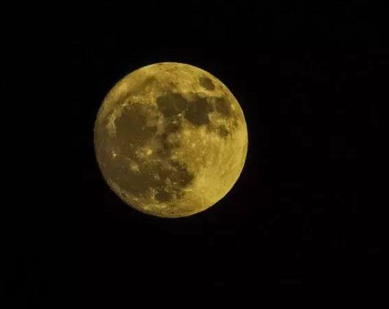 इतना ही नहीं, शरद पूर्णिमा के दिन श्रीकृष्ण का महारास भी हुआ था. इसके अलावा भी शरद पूर्णिमा का अपना महत्व है. शरद पूर्णिमा के दिन चंद्रमा 16 कलाओं के साथ होता है. शरद पूर्णिमा का दिन सिद्धियों के लिए विशेष है. आज के दिन विवाह की बाधा दूर करने के लिए प्रार्थना की जाती है. फोटोः गूगल फ्री इमेज