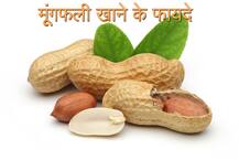 डायबिटीज और कोलेस्ट्रॉल को नियंत्रित रखती है मूंगफली, जानें इसे खाने के फायदे