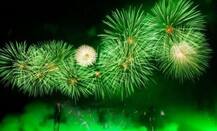 IN PICS: इस दीवाली चला सकेंगे सिर्फ ग्रीन पटाखे, जानिए क्या होते हैं ग्रीन पटाखे और कहां मिलेंगे