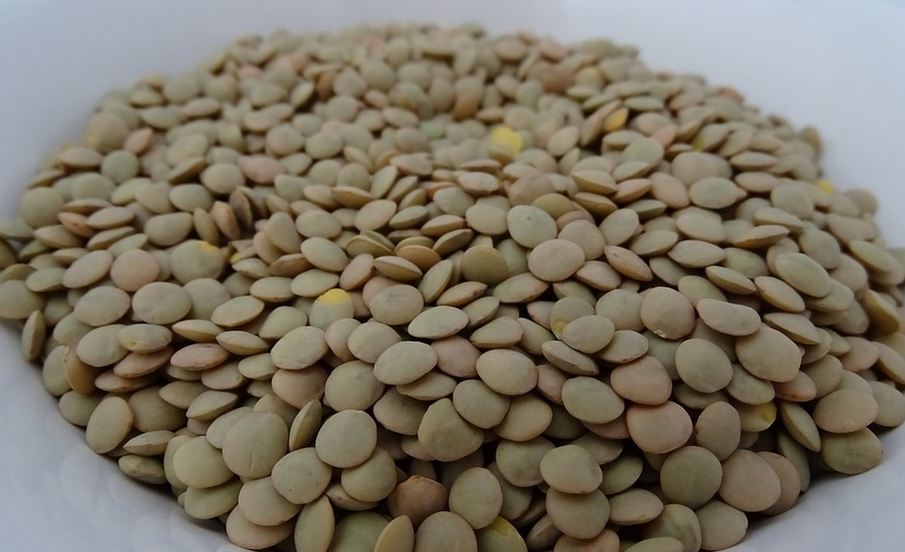 मूंग और मसूर की दाल रोजाना खाने से पहले जरूर पढ़ें ये खबर