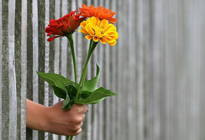 यदि आप पार्टनर का स्पेशल महसूस करवाना चाहते हैं तो उन्हें हर घंटे कुछ खास दें. पार्टनर को सरप्राइज देने से बेहतर कुछ स्पेशल नहीं हो सकता. फोटोः गूगल फ्री इमेज