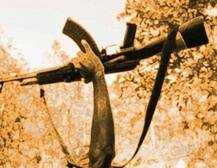 ओडिशा में सुरक्षाबलों के साथ मुठभेड़ में मारे गए चार माओवादी, एक महिला भी शामिल